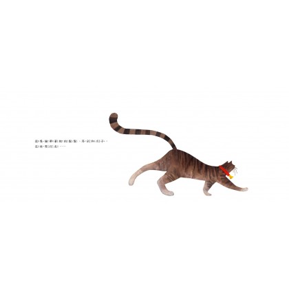 他们都看见一只猫 (绘本）